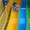 Dia de los Niños