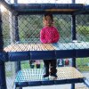 Dia de los Niños